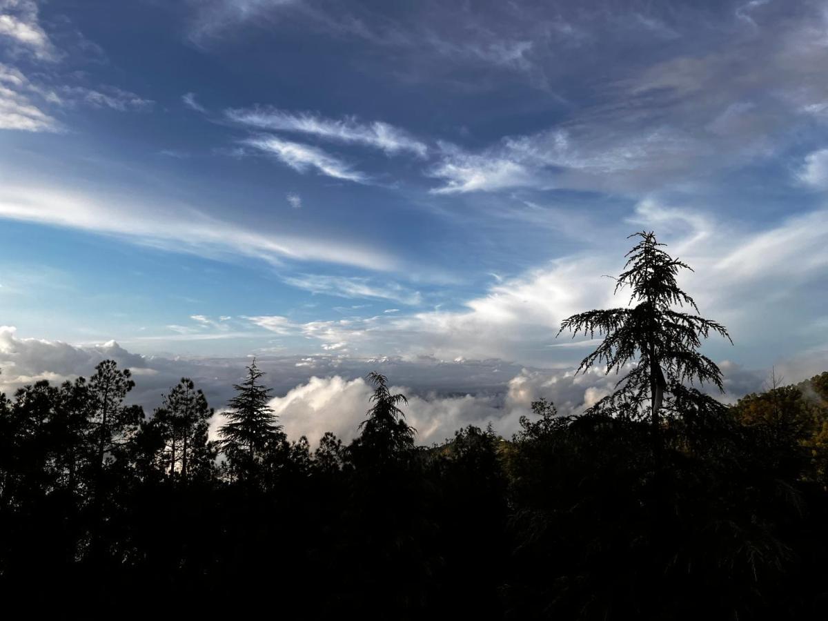 The Roots Homestay Almora Exterior photo