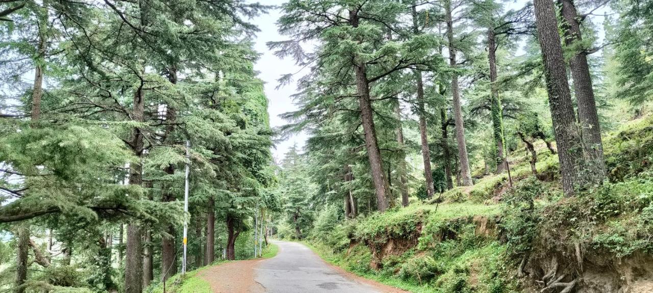 The Roots Homestay Almora Exterior photo