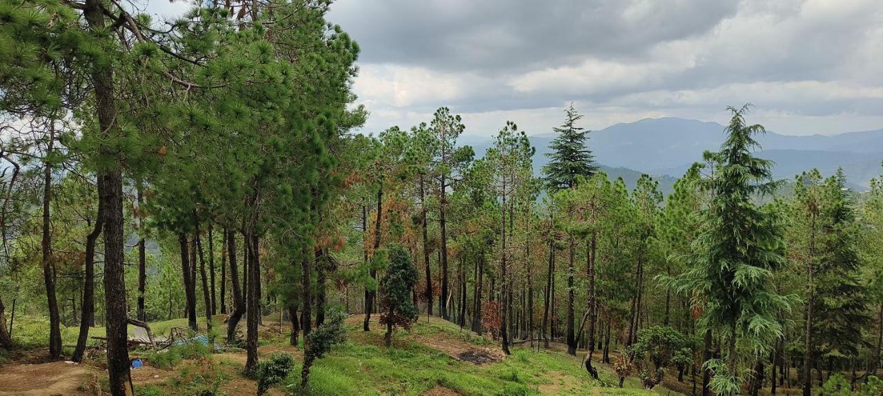 The Roots Homestay Almora Exterior photo