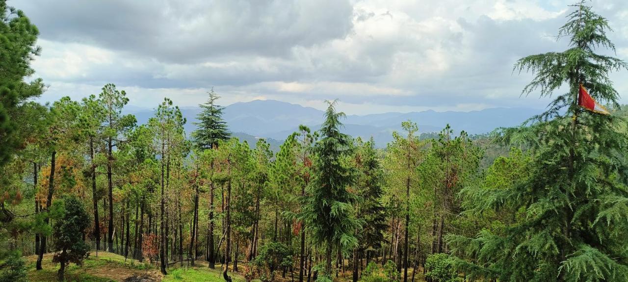 The Roots Homestay Almora Exterior photo