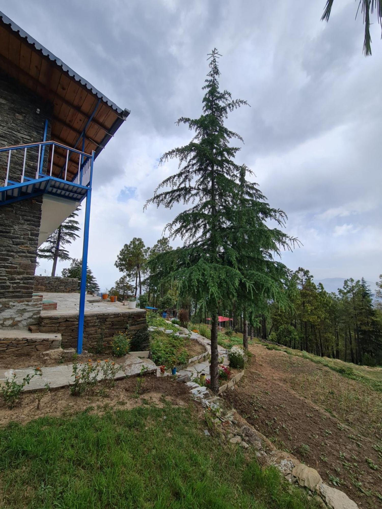 The Roots Homestay Almora Exterior photo